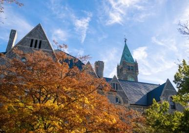 Taylor Hall building and a tree with orange leaves